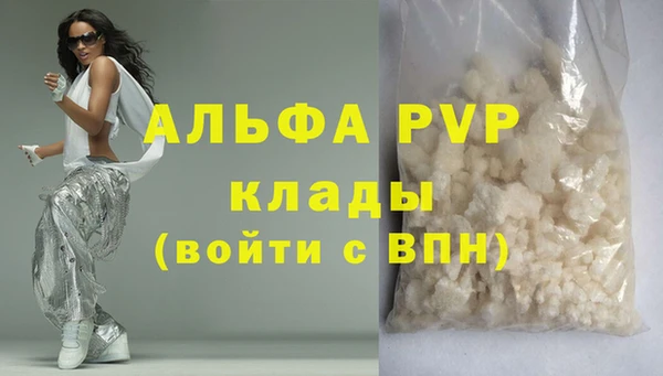 хмурый Бородино