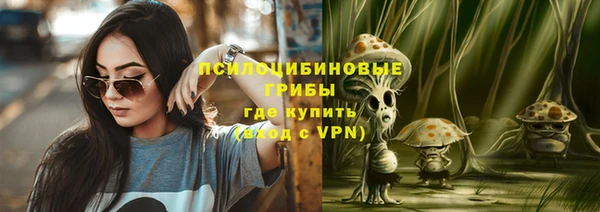 стафф Верхний Тагил